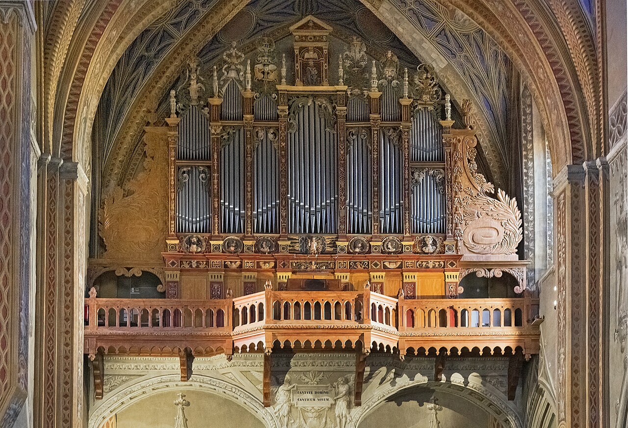 The Pipe organ