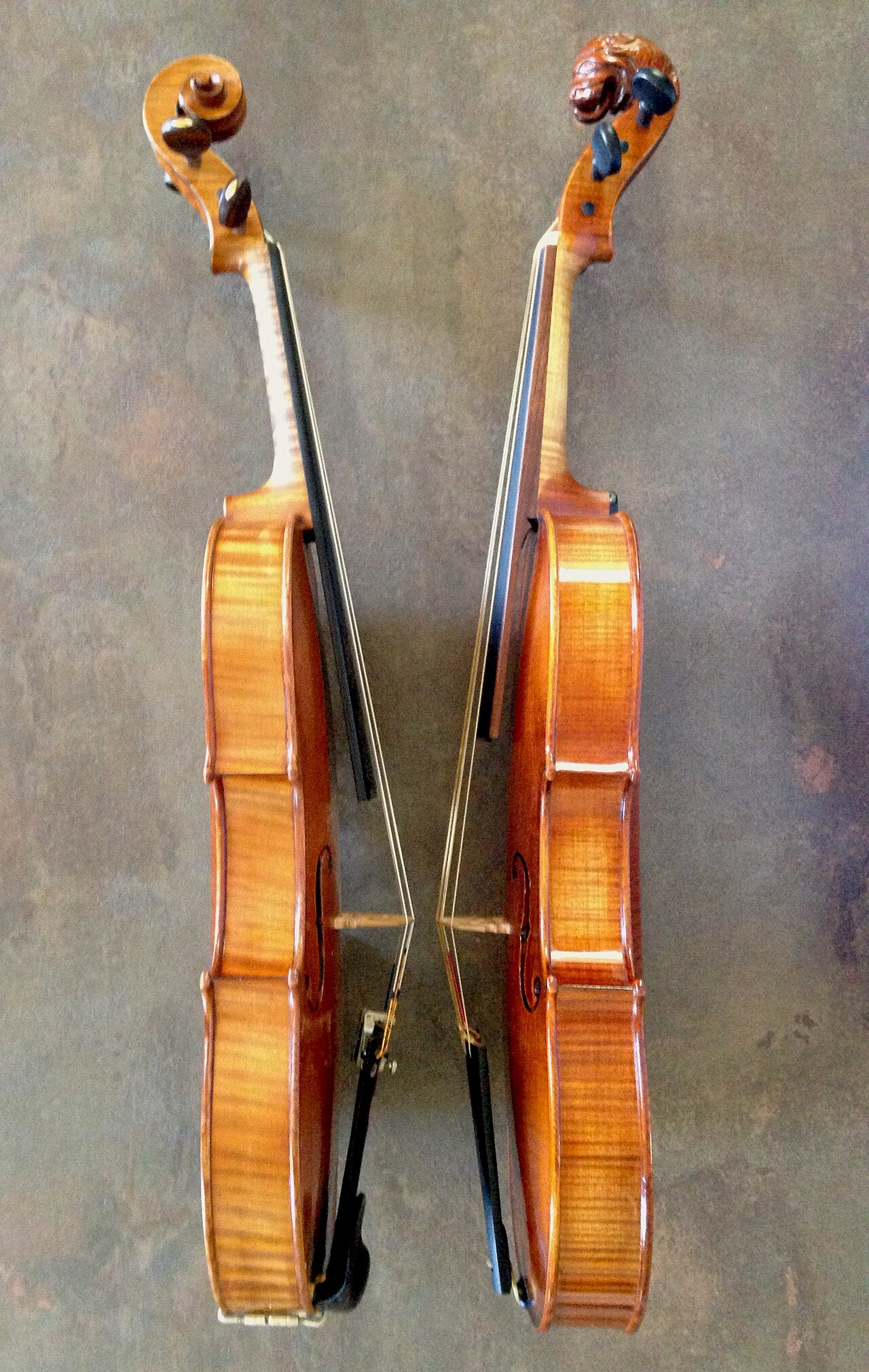 The Violin